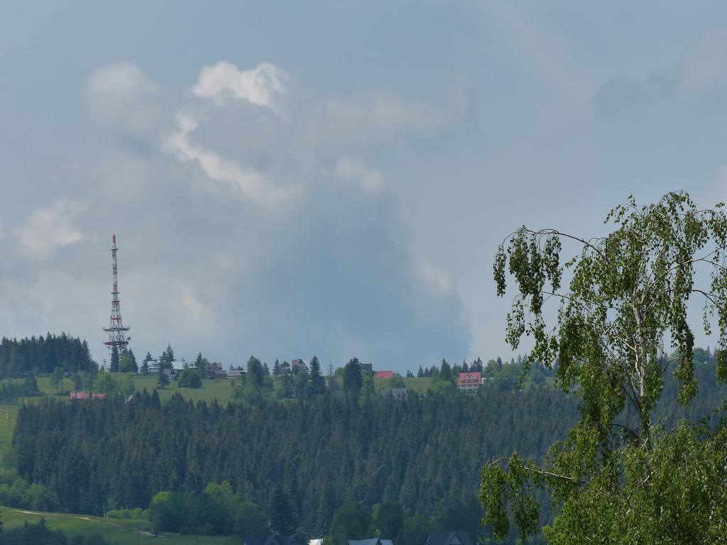 Apartament Pokoje u ZośkiP Zakopane Zewnętrze zdjęcie